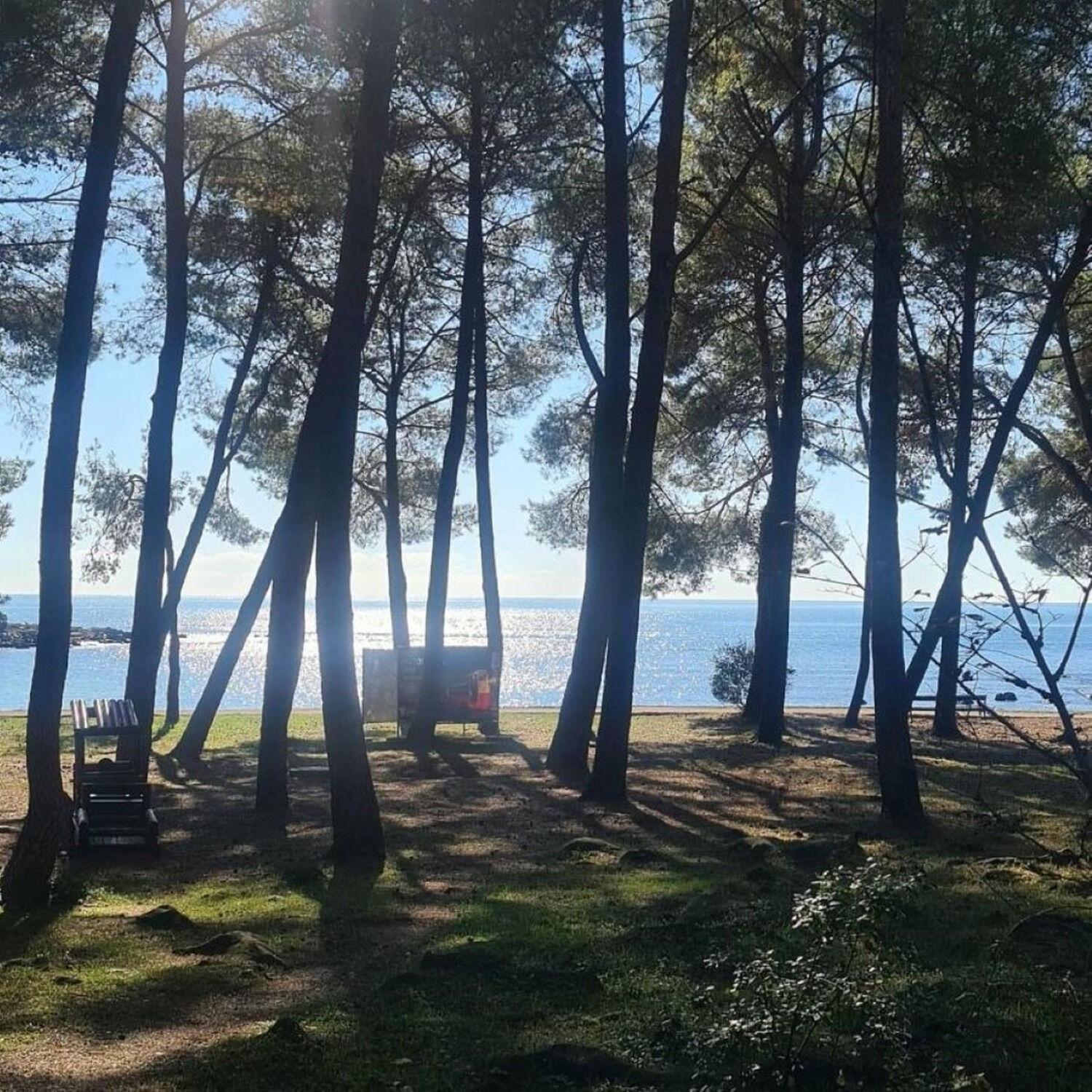 Apartments Berto - 500M To The Beach Rovinj Luaran gambar